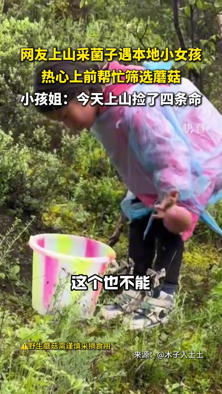 小孩姐：今天上山捡了四条命