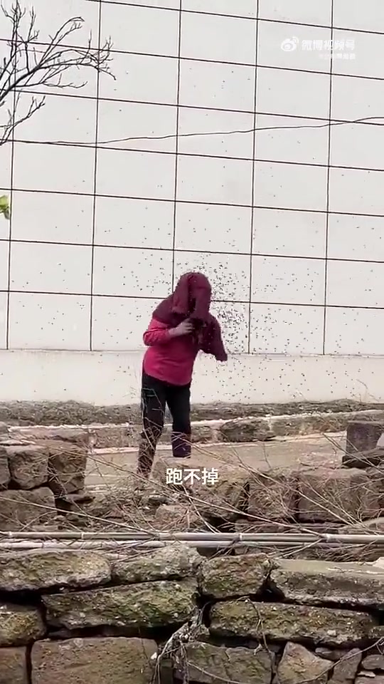 用什么办法才能救她！！！