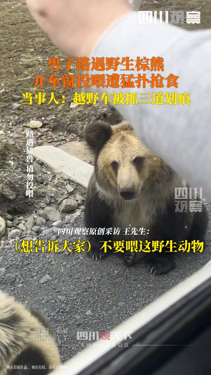 哥们你还敢打开窗户喂啊！这可是熊！