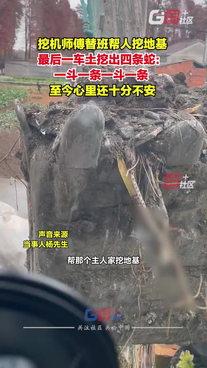 挖机师傅替班帮人挖地基，最后一车土挖出四条蛇！