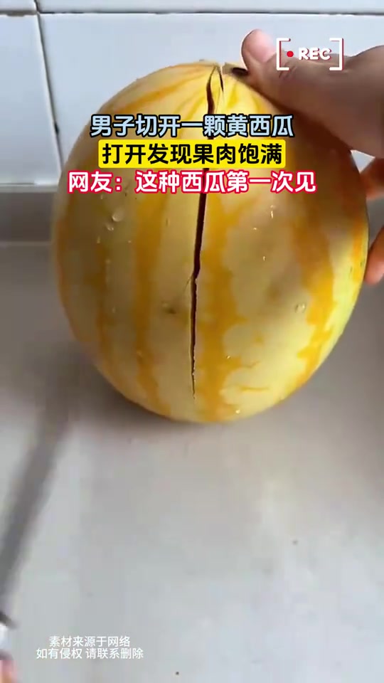 黄皮西瓜还真少见