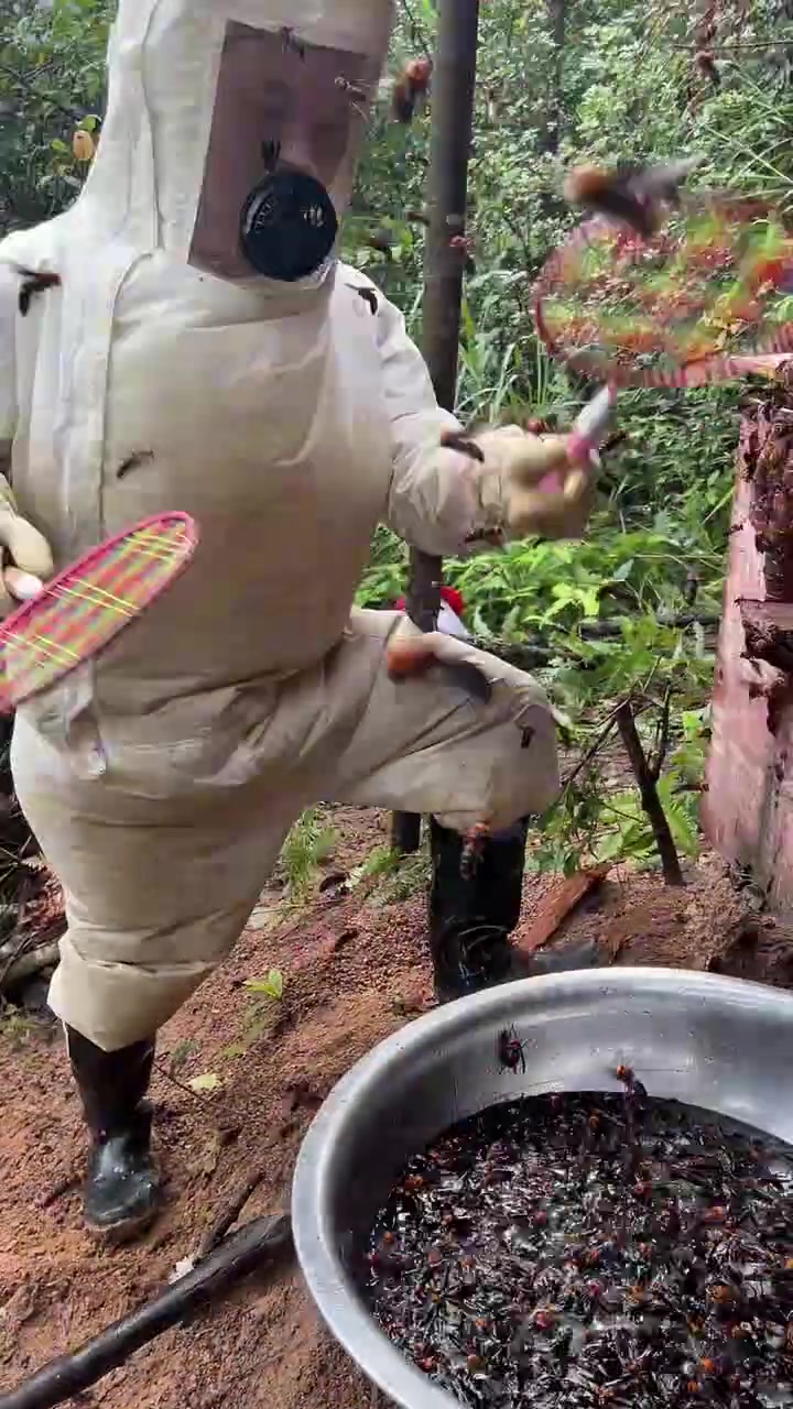 下面的盆子里装的啥为啥一打进去就不飞了