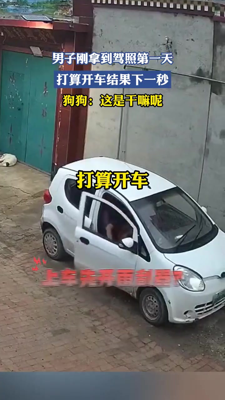 男子刚拿到驾照第一天，打算开车结果下一秒