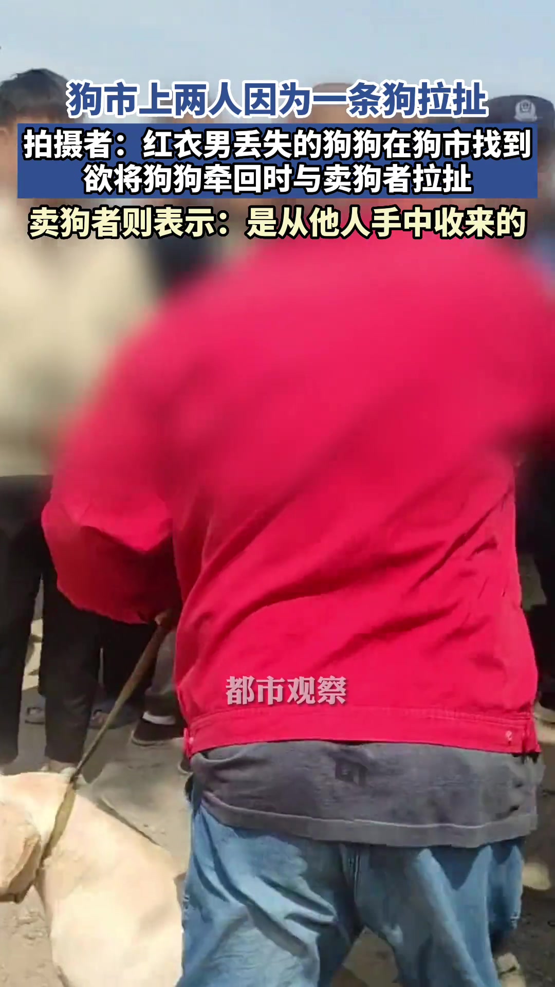 这种心情只有养狗的人才能懂！！！