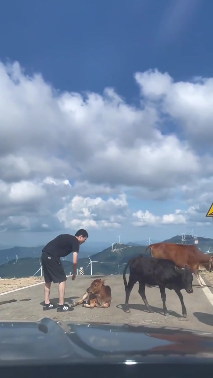 牛：好好好、这下没有两千起不来！