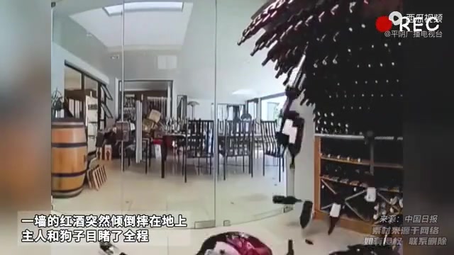 心态崩了！亲眼目睹收藏的“红酒墙”瞬间倒塌！！