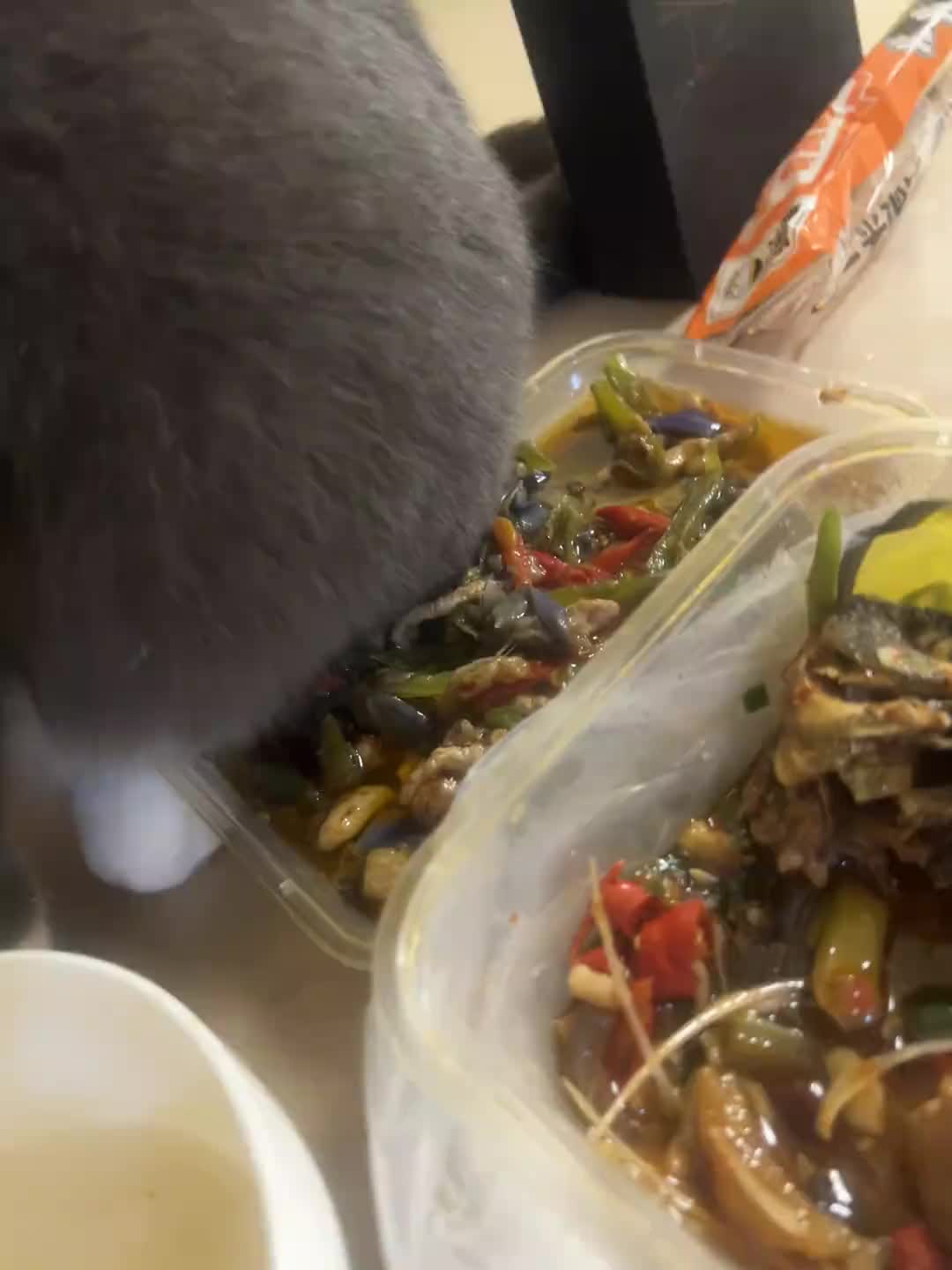 猫：麻麻酱你怎么不吃了