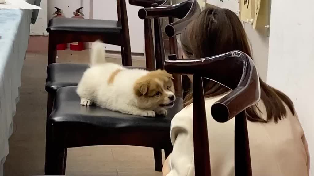 狗：这娘们怎么叫的比我还像越叫越不自信了