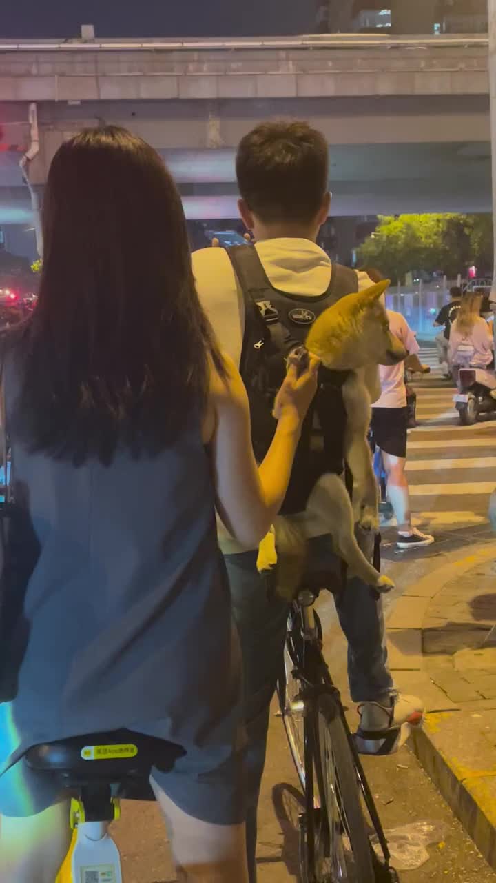我也想撸狗了，好可爱好乖呀，脚被摸了，它看都不看