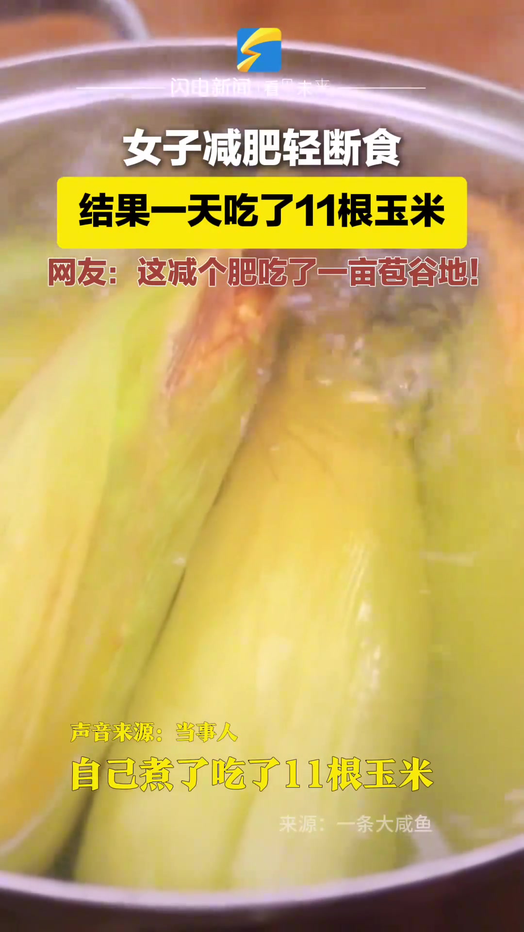 这减个肥得吃一亩苞谷地