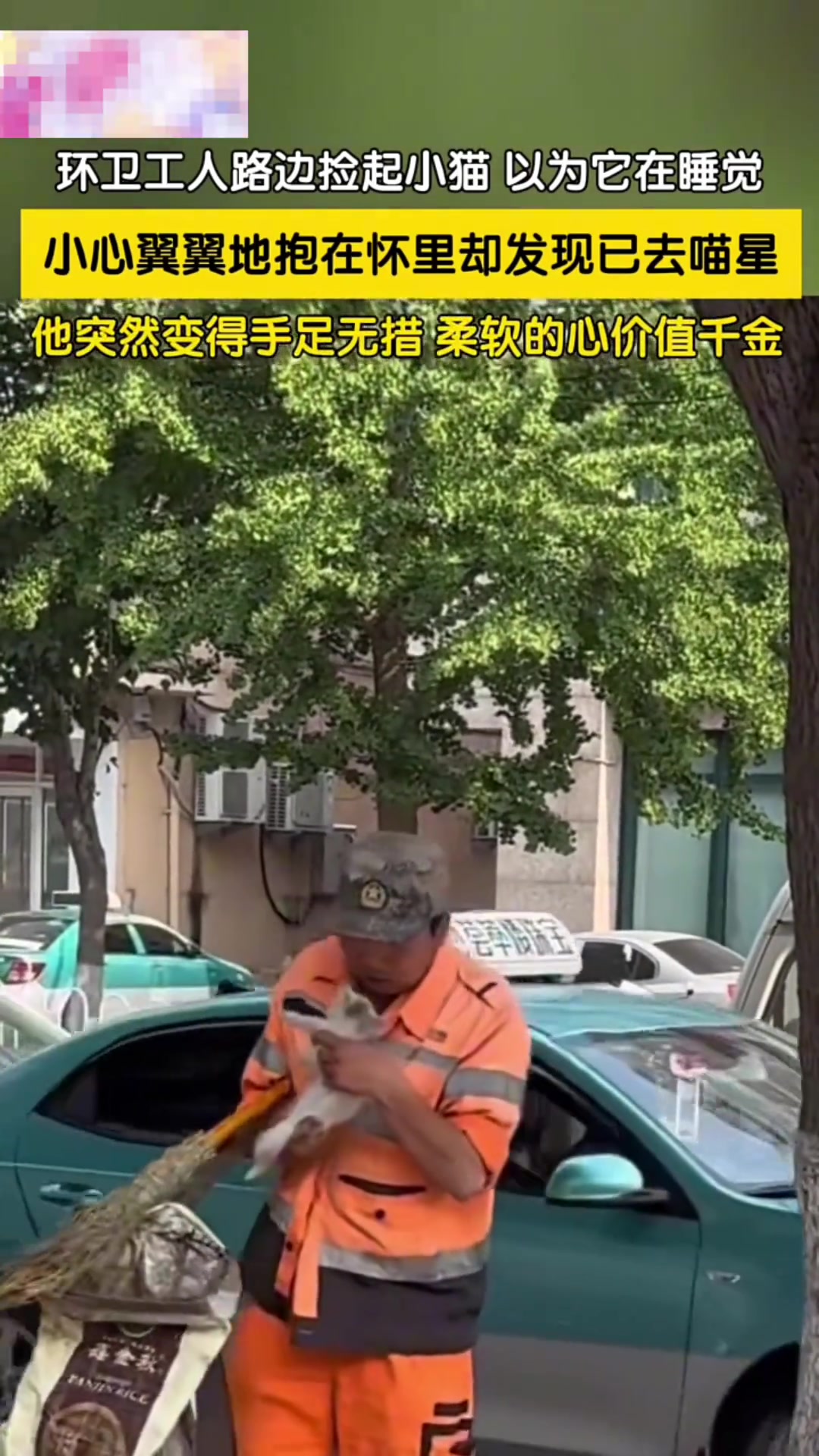 环卫工人小心翼翼地抱在怀里，却发现已去喵星，顿时手足无措！