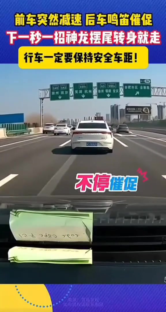 这个视频越看越解气