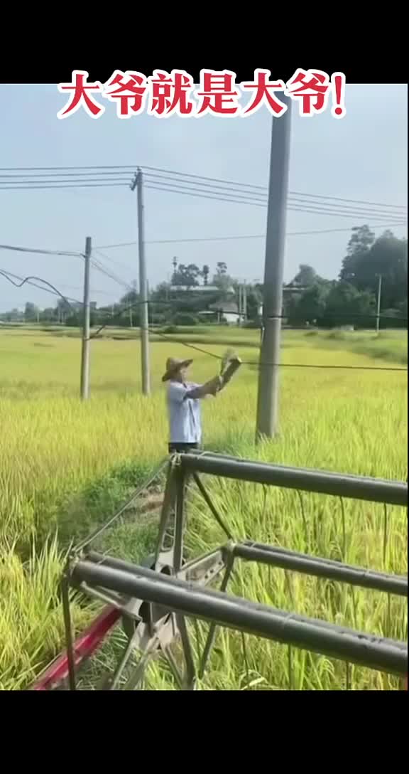 大爷就是大爷，这也能随便砍！