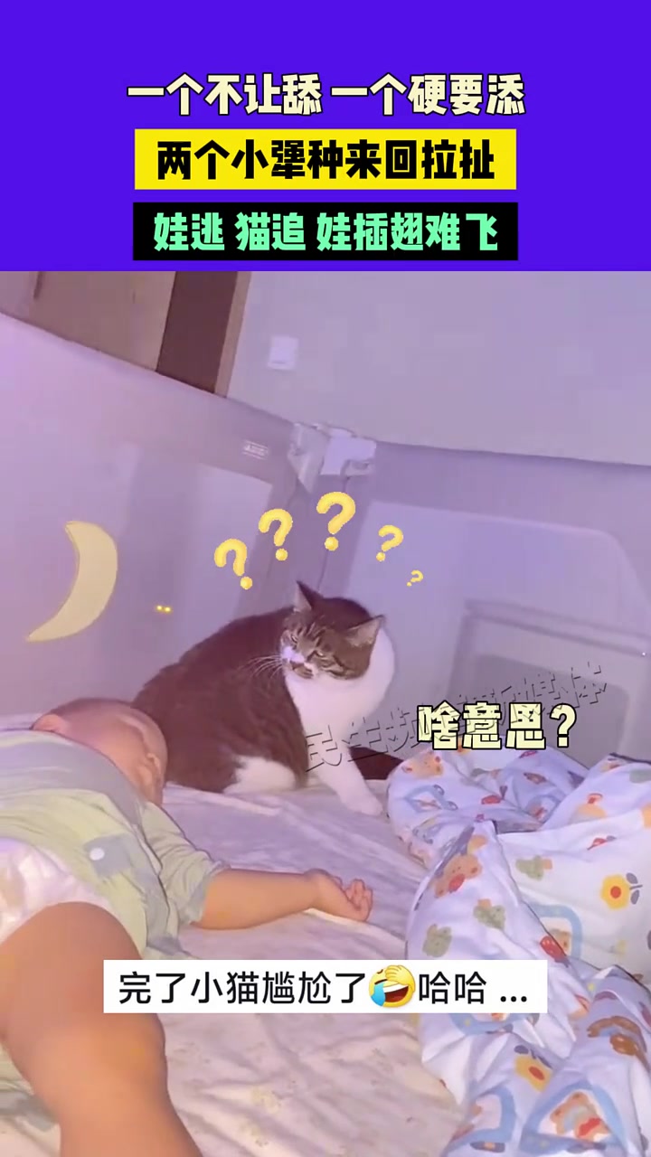 一个不让舔，一个硬要舔