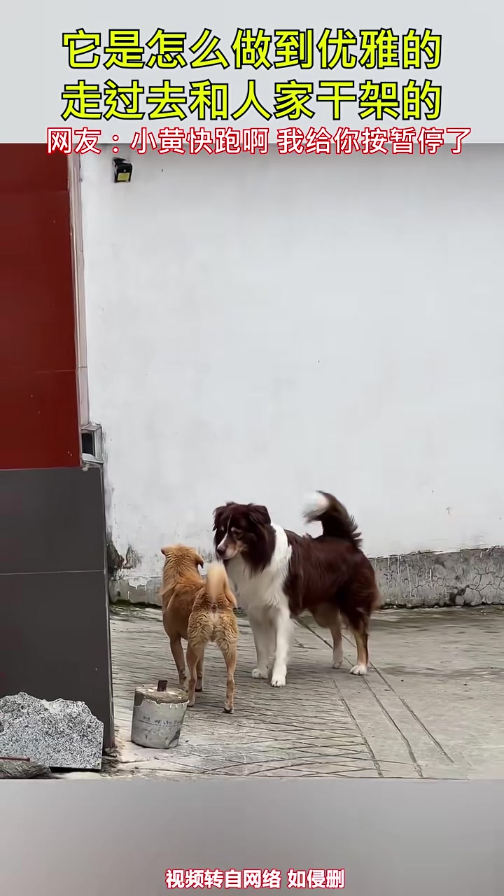 它是怎么做到优雅的过去干架的