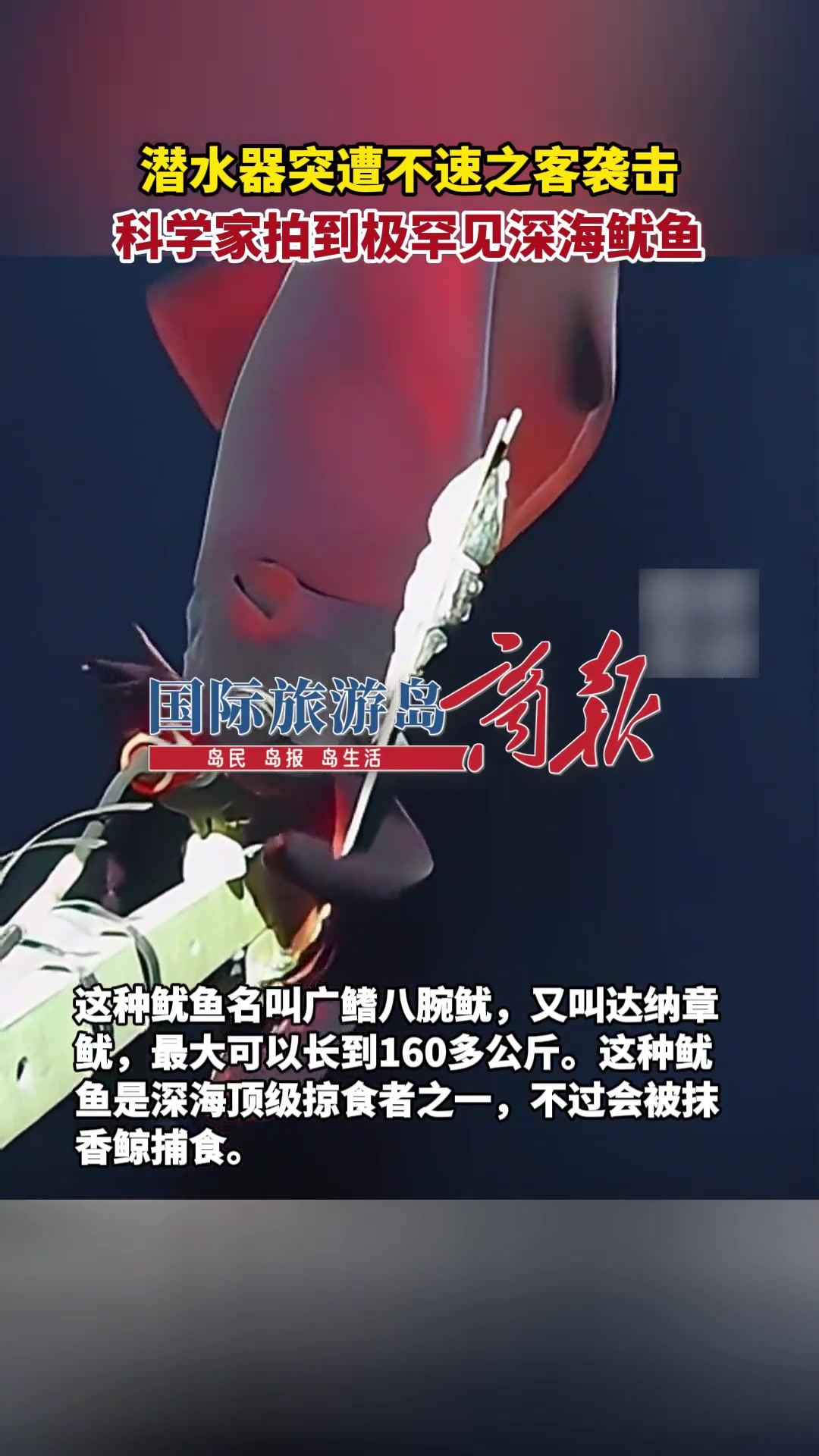 克苏鲁！猩红色的章鱼！深海恐惧症犯了！