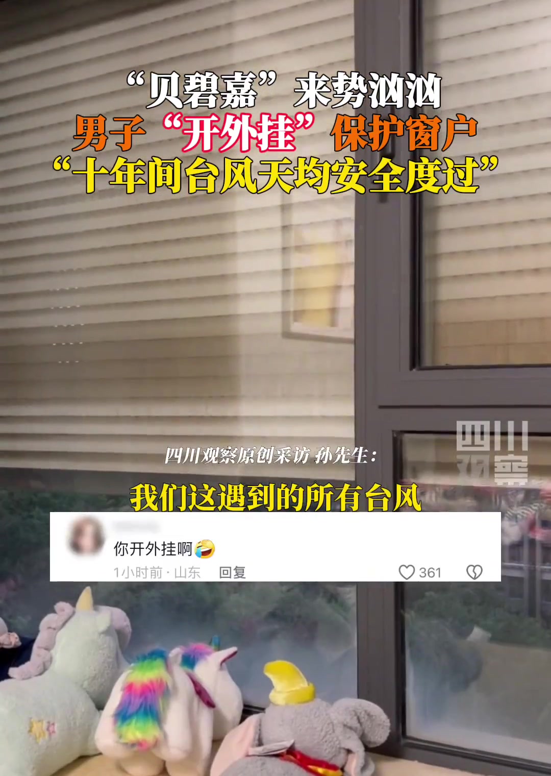 能抗下十年台风！大家觉得这个靠谱吗
