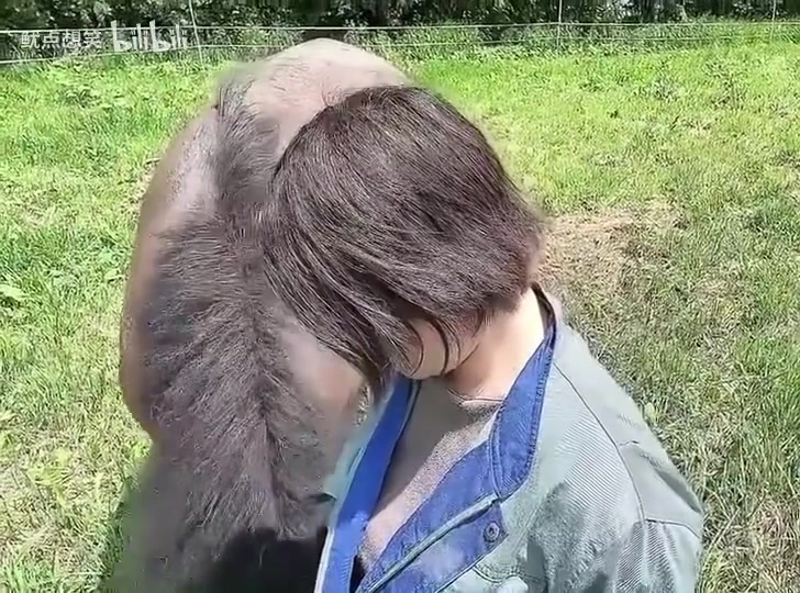 马：给你一鞭腿，吓我一跳你！！！