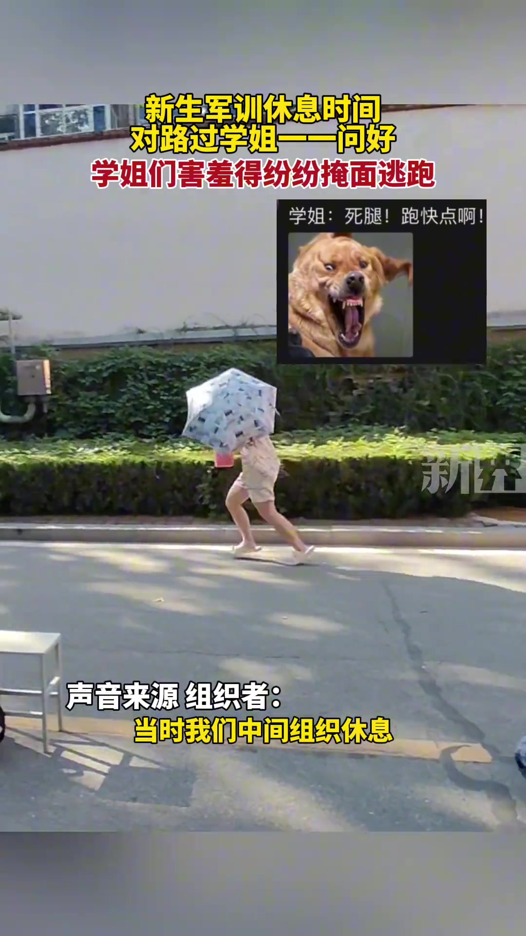 一声“学姐好”把学姐们害羞得纷纷掩面逃跑