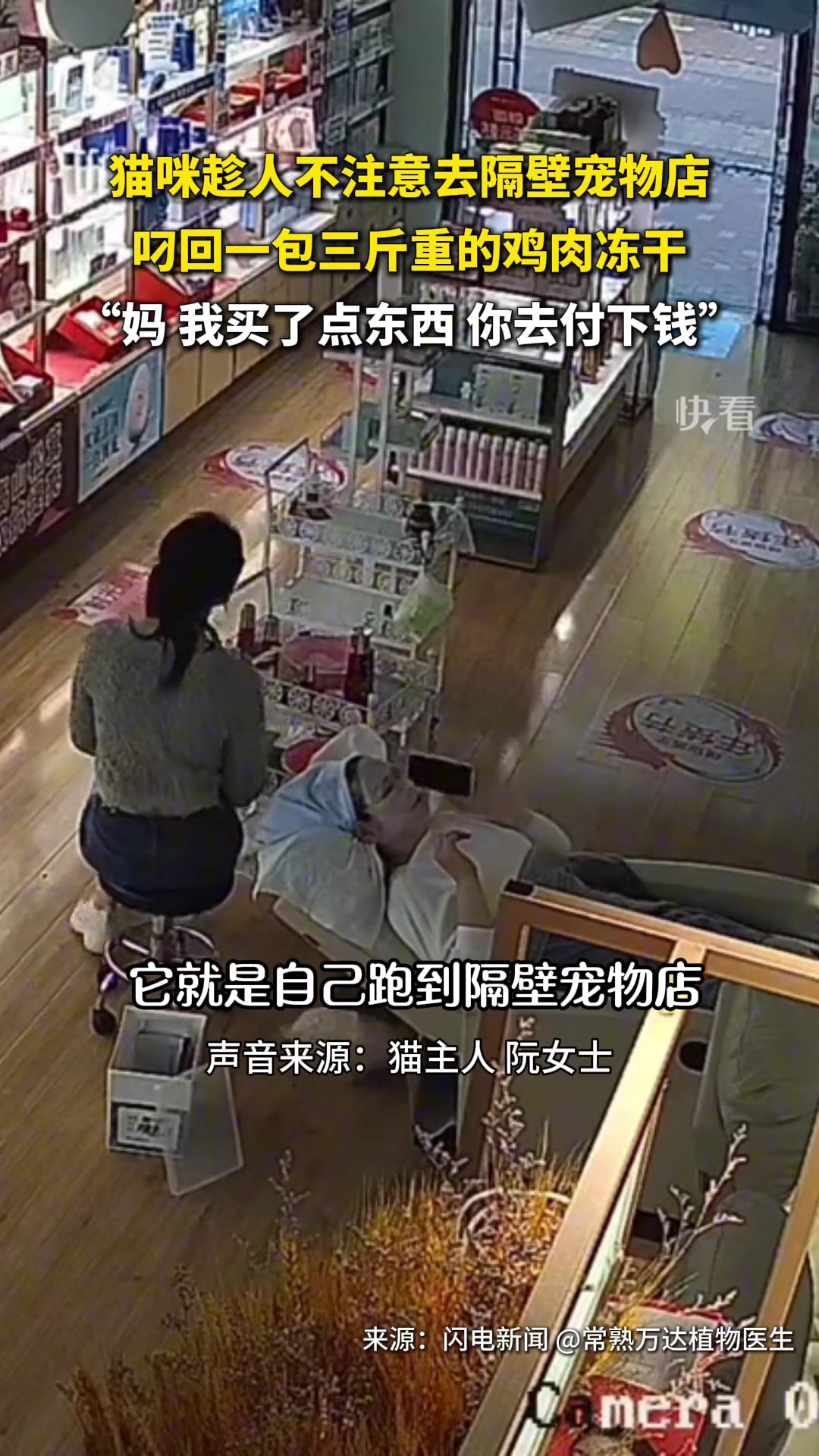 猫咪趁人不注意去隔壁宠物店叼回一包三斤重的鸡肉冻干