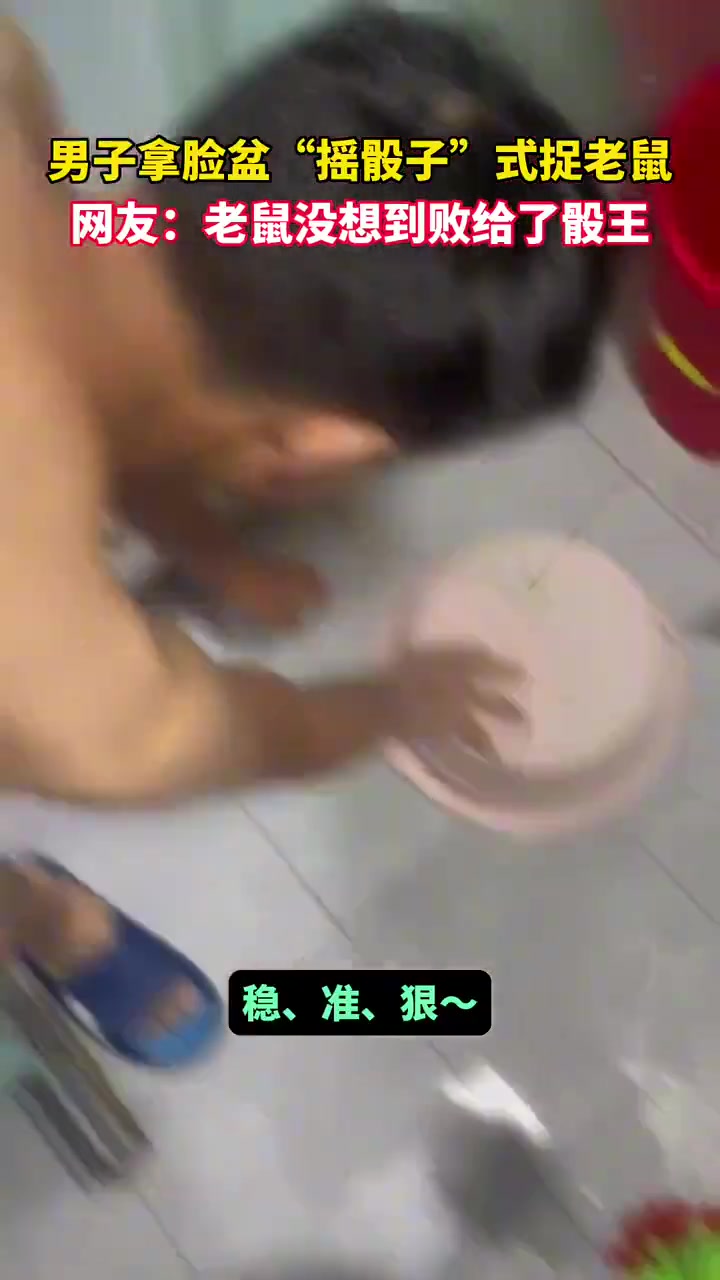 男子拿盆“摇骰子”式捉老鼠老鼠没想到会败给了“骰子”