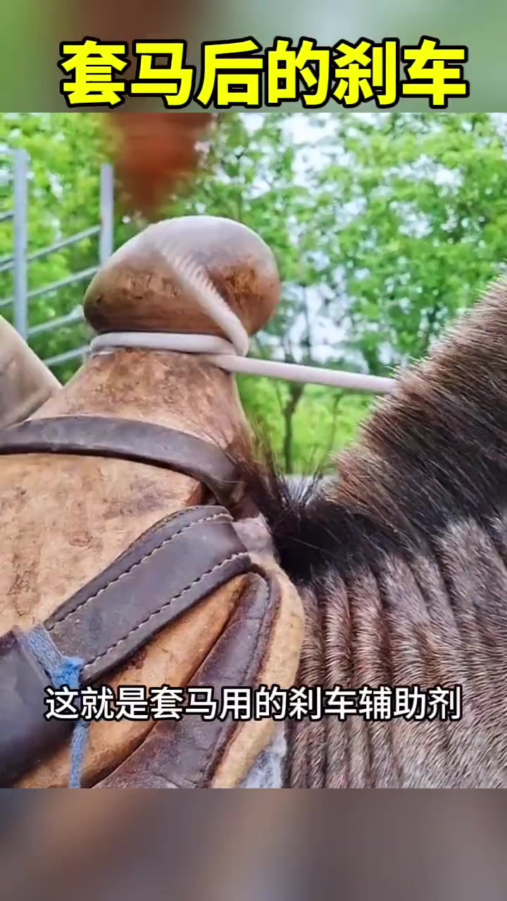 套马后的刹车！原来马刹是长这样的！