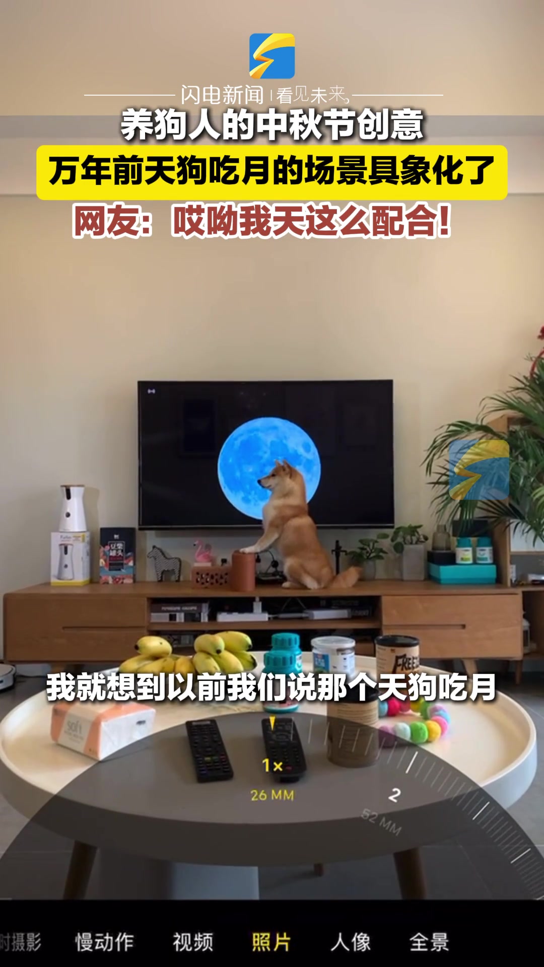 养狗人的中秋节创意哎哟我天这么配合的吗