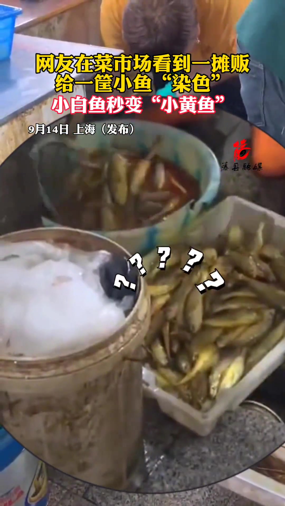 网友在菜市场看到一摊贩给一筐小鱼“染色”小白鱼秒变小黄鱼