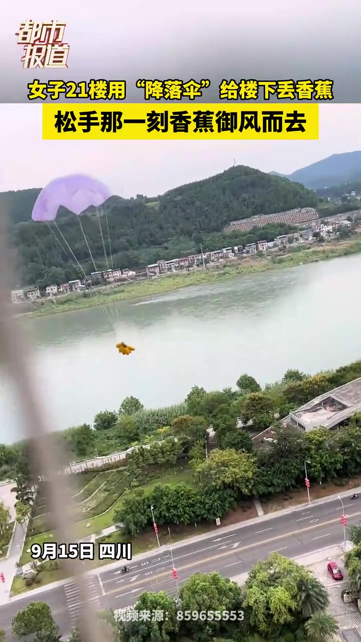 山上的野生动物：看吧！我就说中秋了上天会给我们礼物的