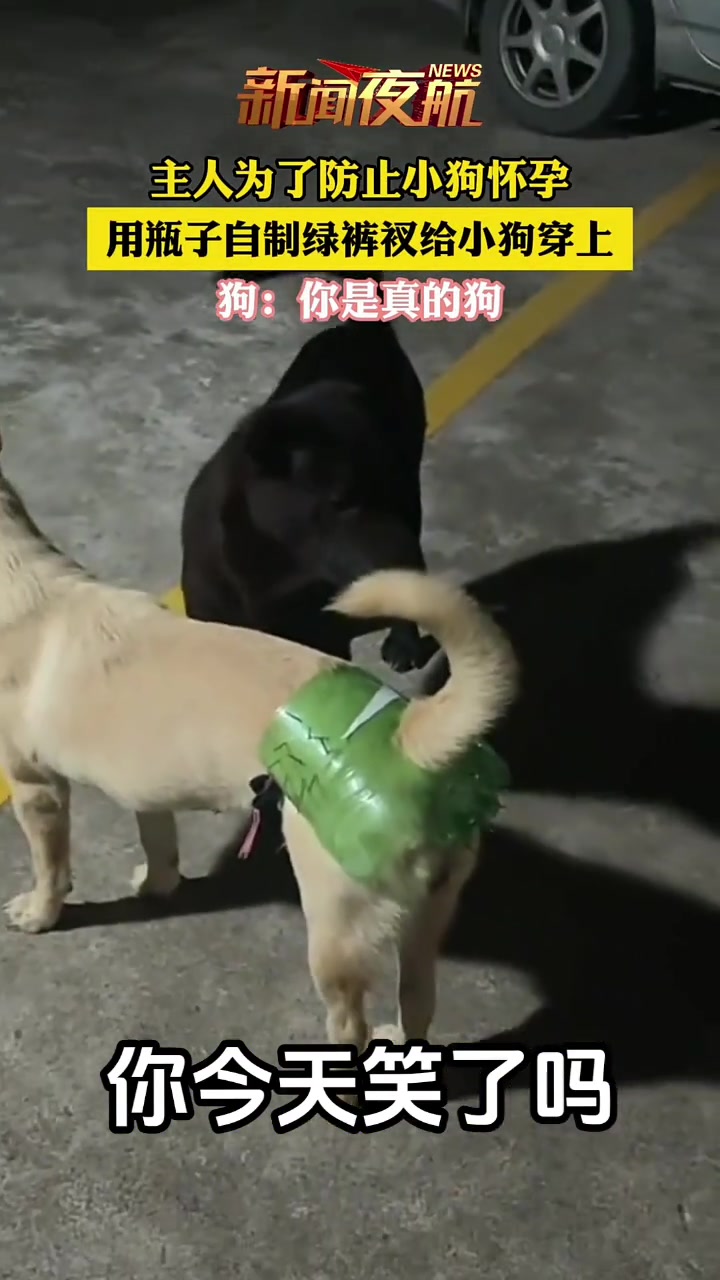 为了防止小狗怀孕，狗主人竟然....