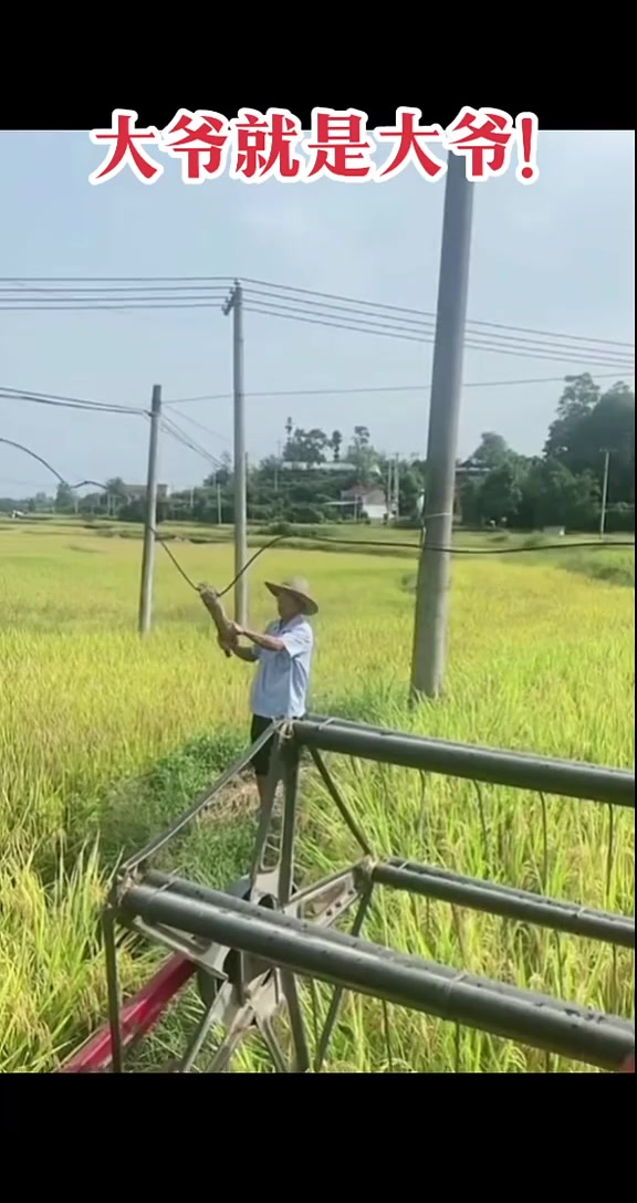 无知者无畏...不过这种的还是要好好管管啊