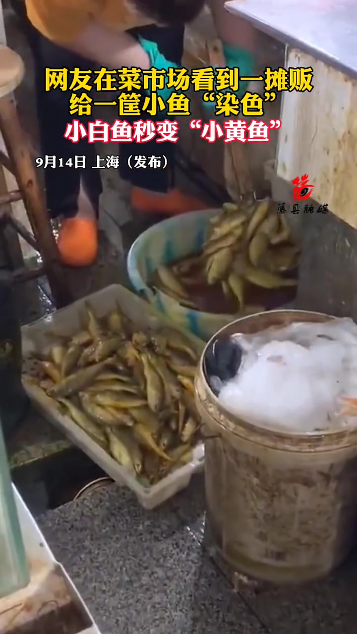 网友在菜市场看到一摊贩给一筐小鱼“染色”，秒变“小黄鱼”