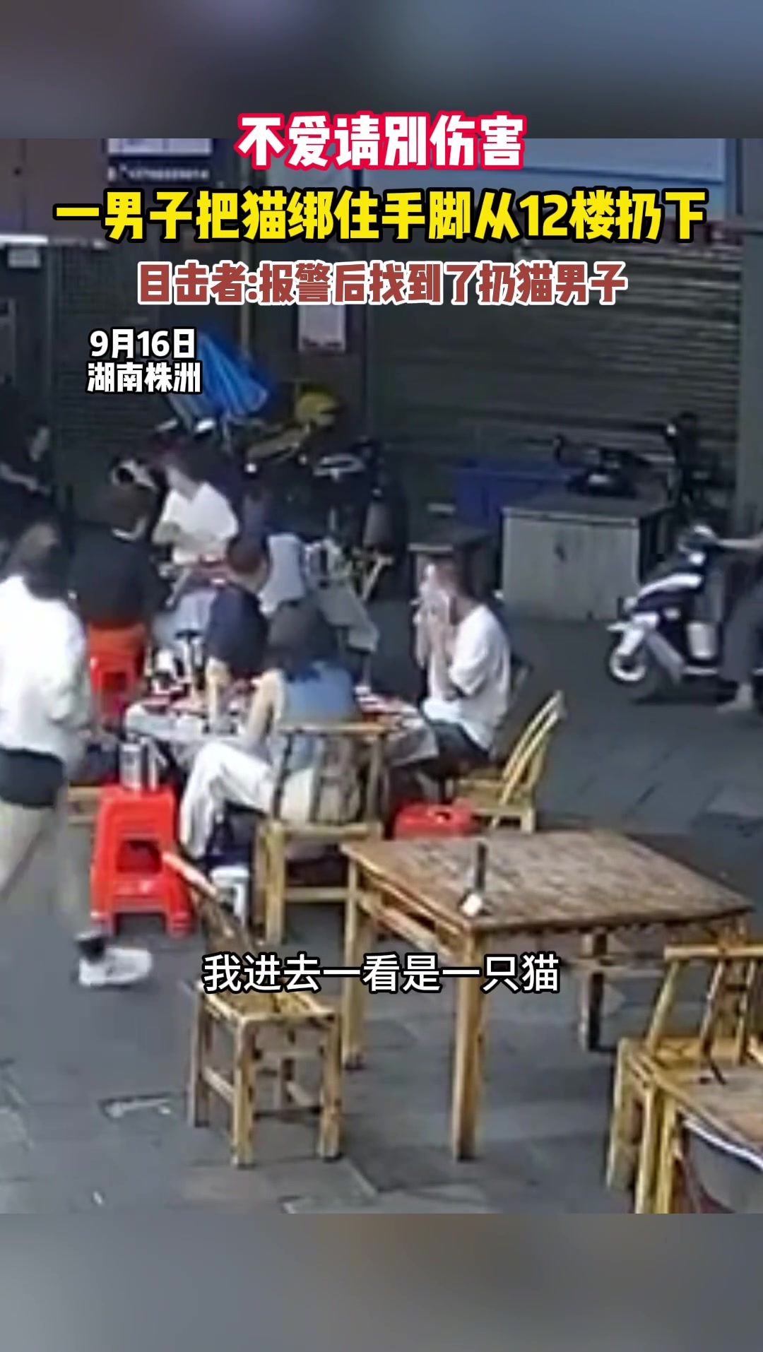 不爱请别伤害！一男子把猫绑住手脚竟从12楼扔下