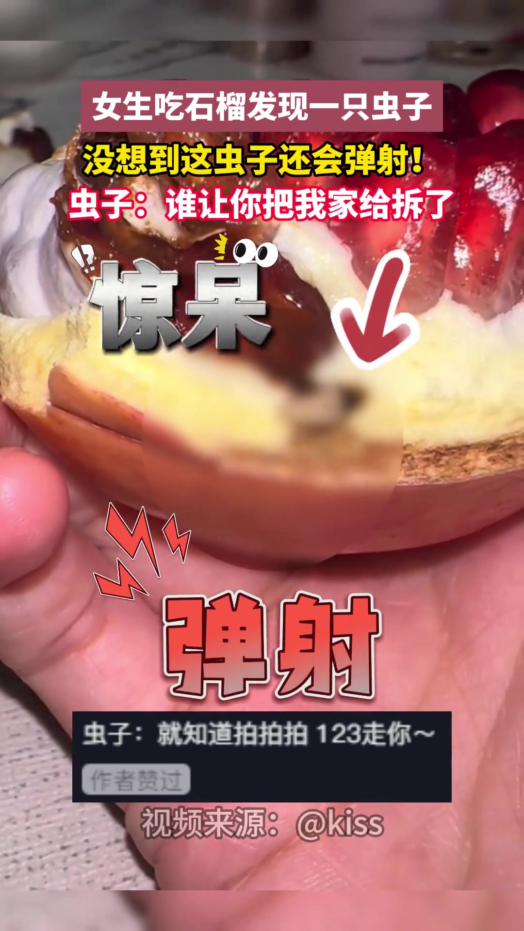 离奇！女生发现石榴里的虫子还会弹射！