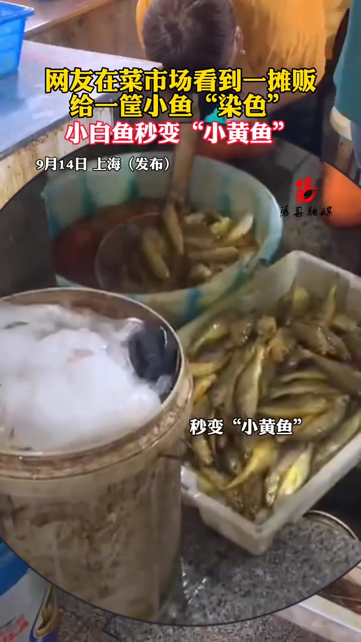 连菜市场都不安全了吗摊贩给一筐小鱼染色，小白鱼秒变小黄鱼！