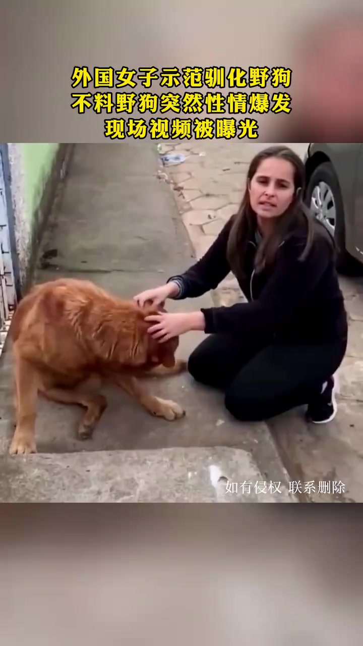 女子示范驯狗，不料狗突然性情爆发