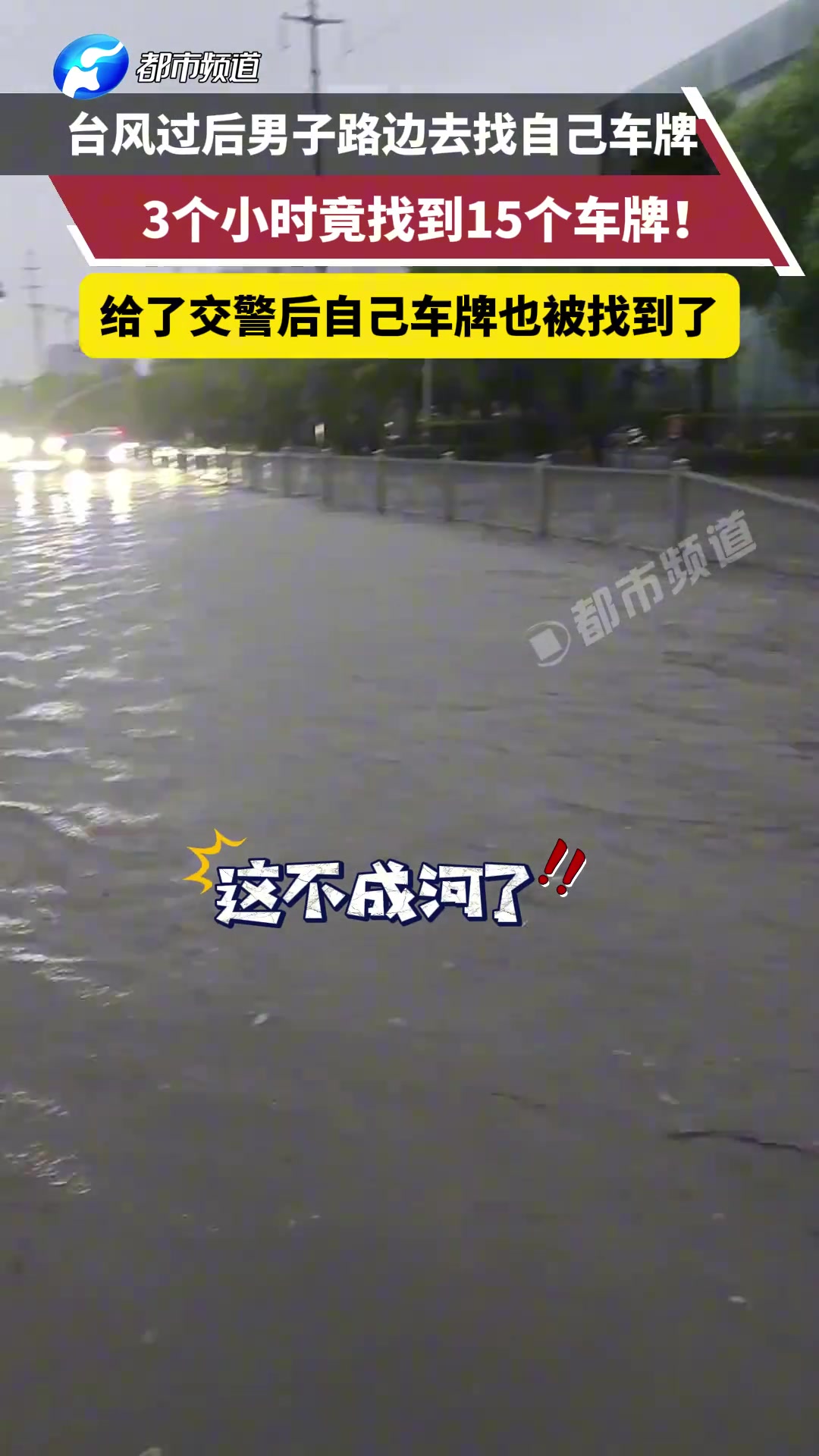 台风过后男子路边去找自己车牌，3个小时竞找到15个车牌！