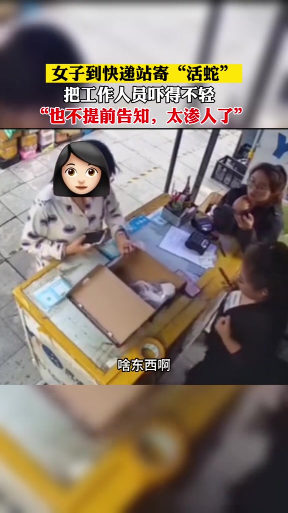 寄东西也不看清楚啊拎这条活蛇就来寄快递