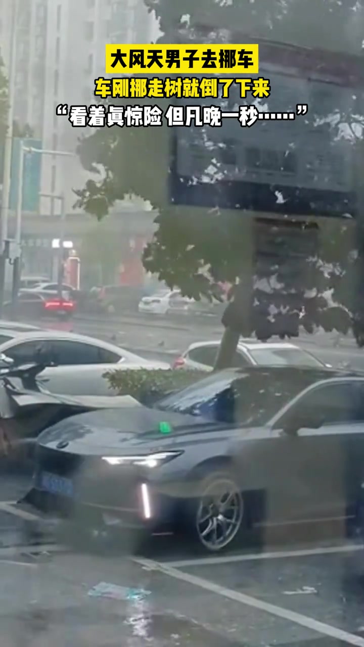 大风天男子去挪车，车刚挪走树就倒了下来，还有有先见之明！！