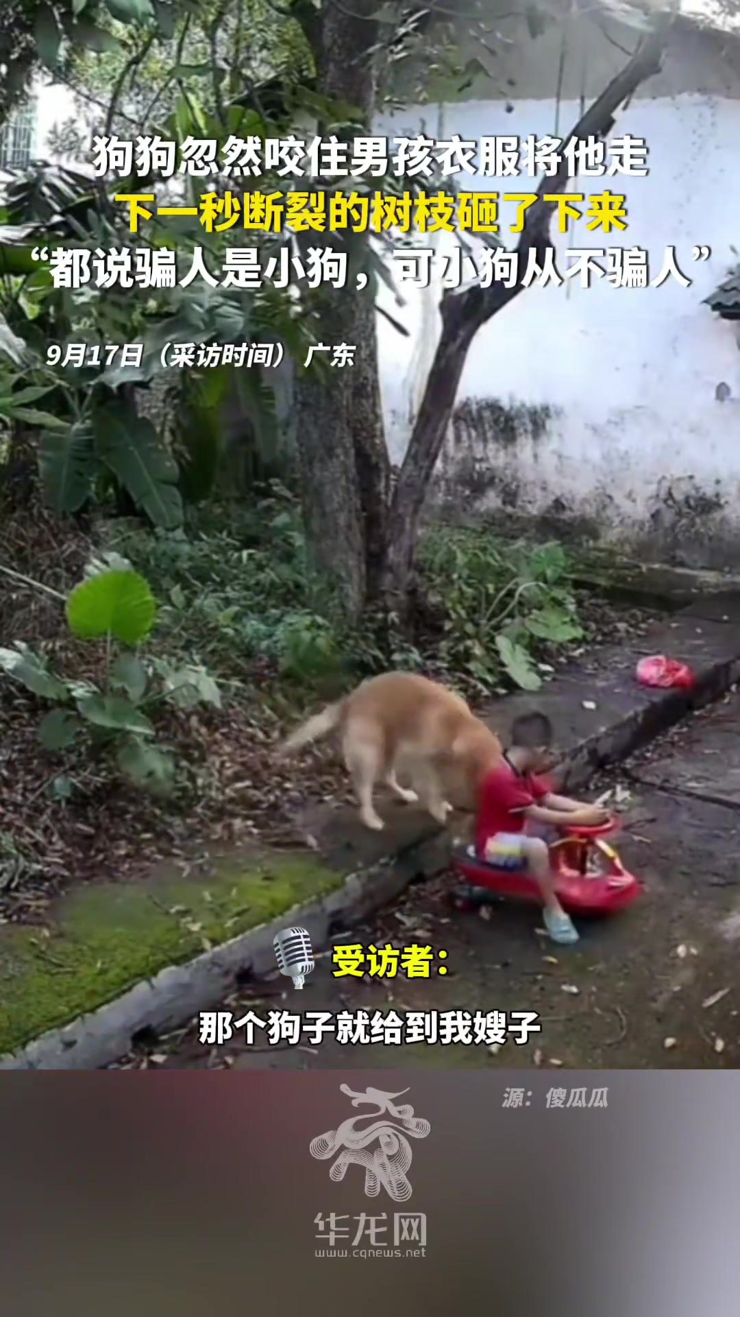 “都说骗人是小狗，可小狗从不骗人”