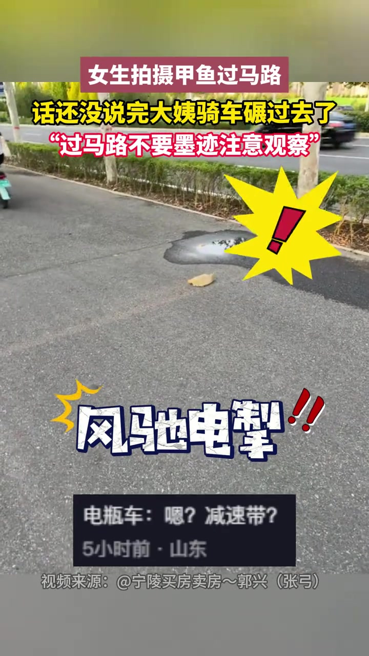 女生拍摄甲鱼过马路话还没说完大姨骑车碾过去了