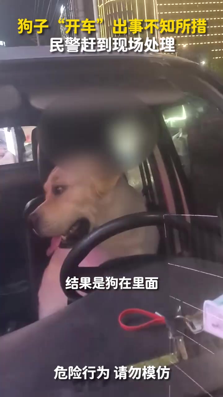 小货车撞上路边摊，摊主：被一只狗“开车”撞了