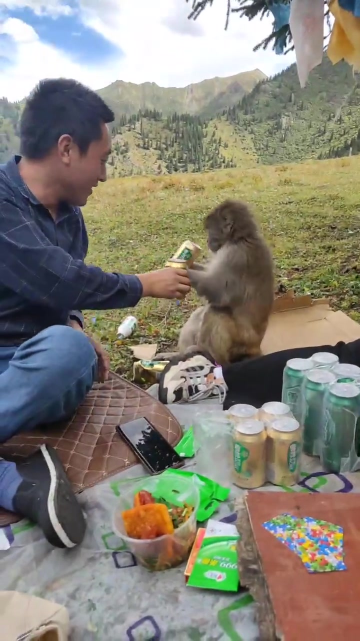 当你们走后，猴子再也找不到如此佳酿