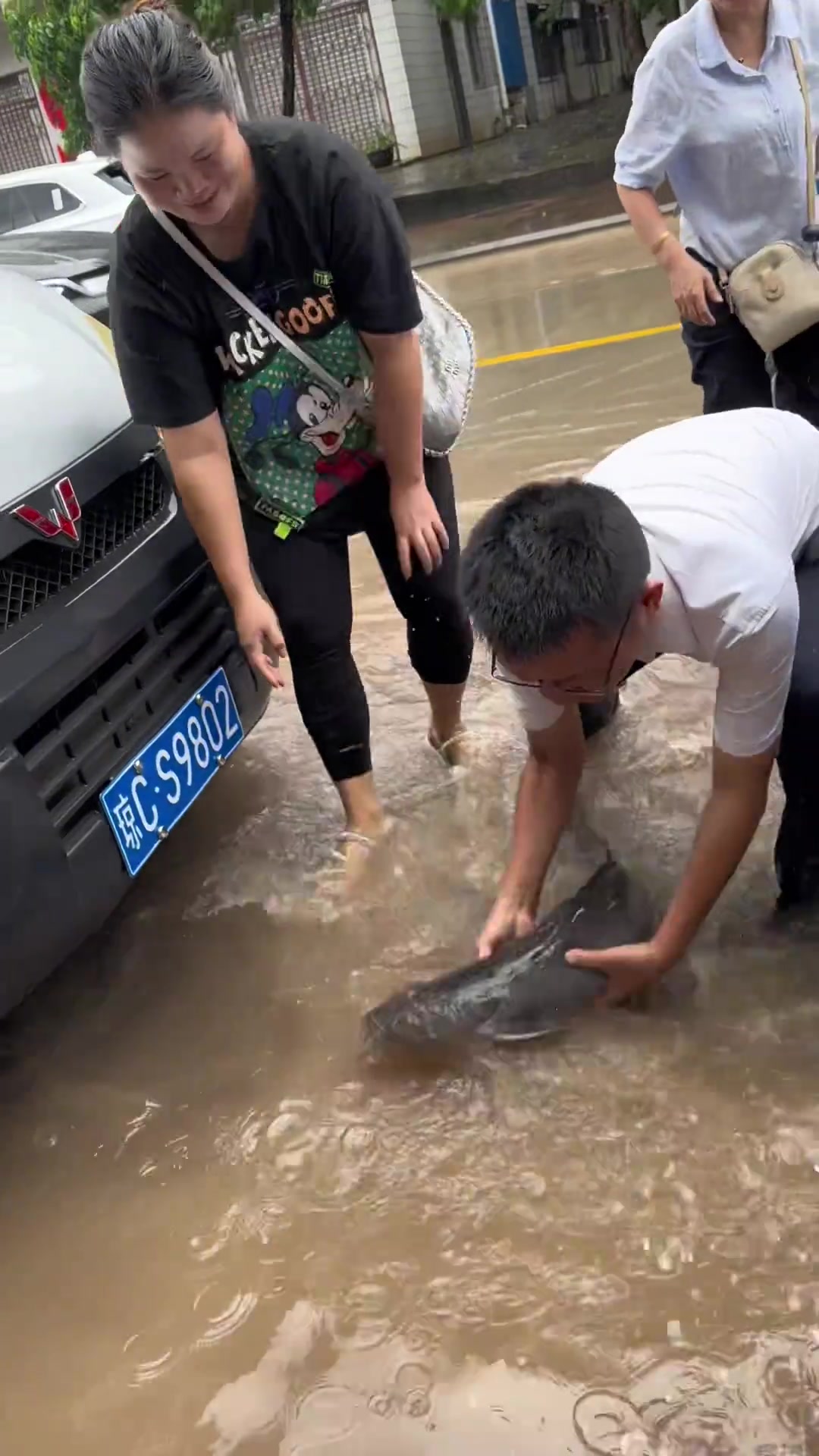 暴雨后大自然的馈赠！体验了一把上班摸鱼