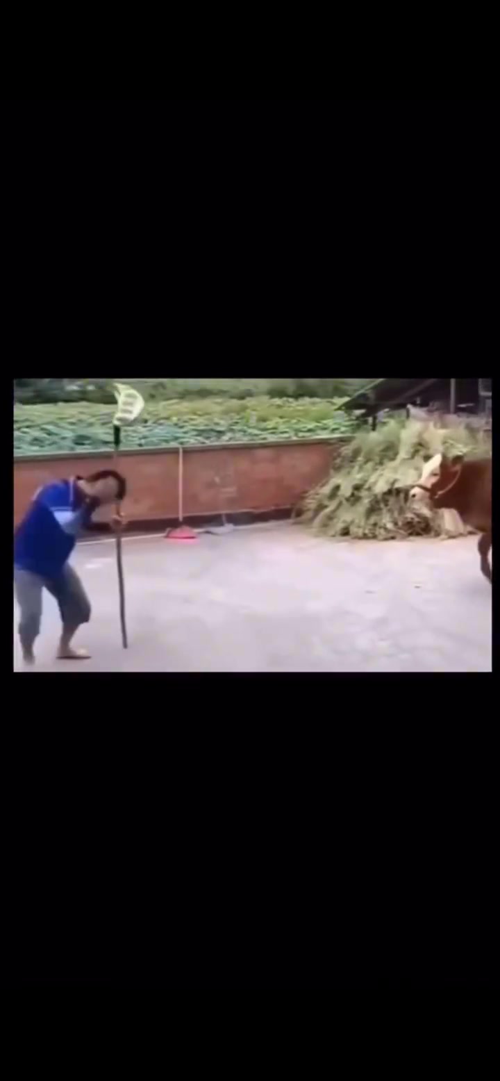 请问这是三十六计中的哪一计