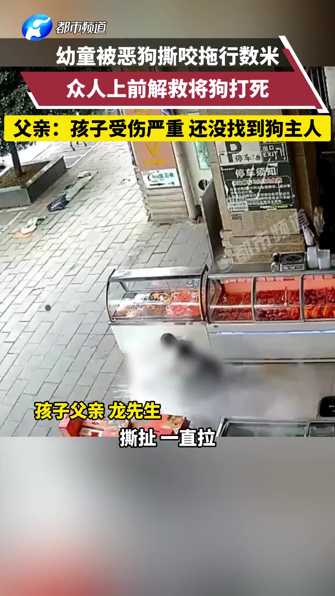 幼童被恶狗撕咬并拖行数米，众人上前解救将狗打死