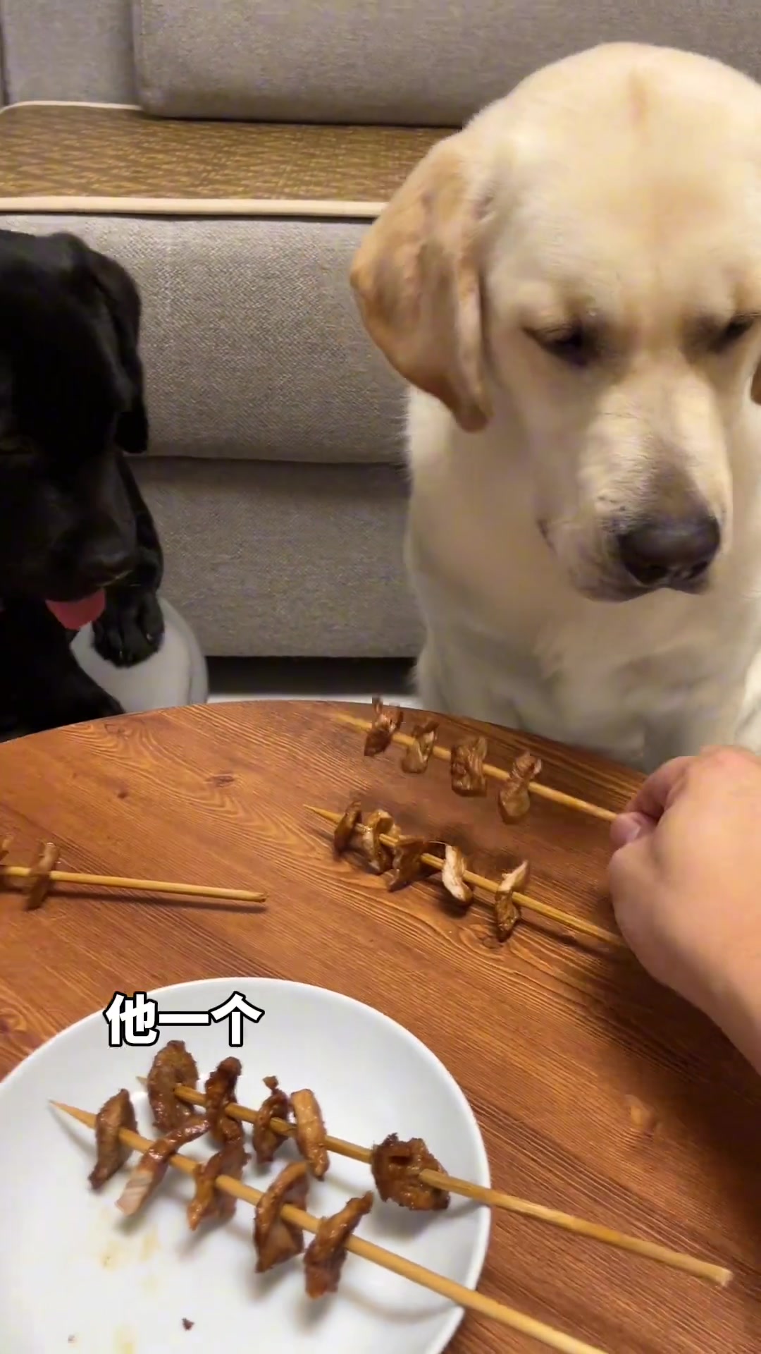 狗到底咱俩谁是狗