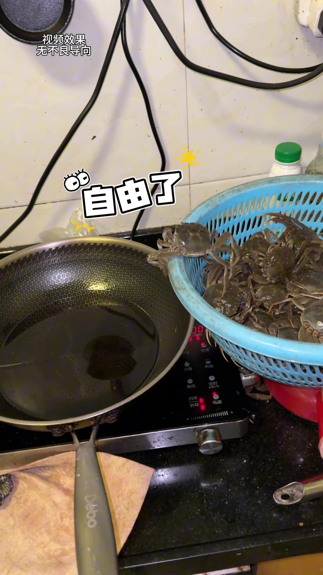 螃蟹：我一定要红透半边天