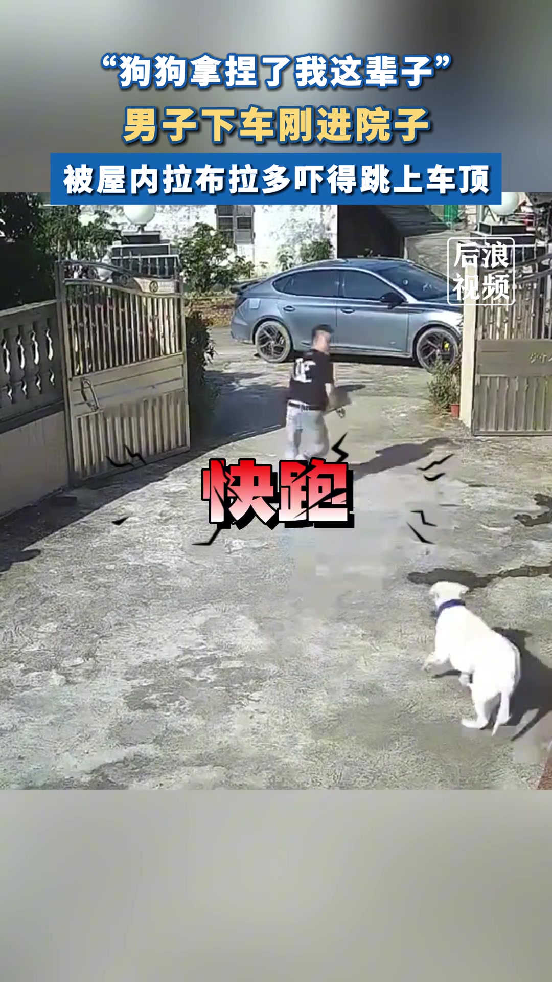 男子下车刚进院子，被屋内拉布拉多吓得跳上车顶
