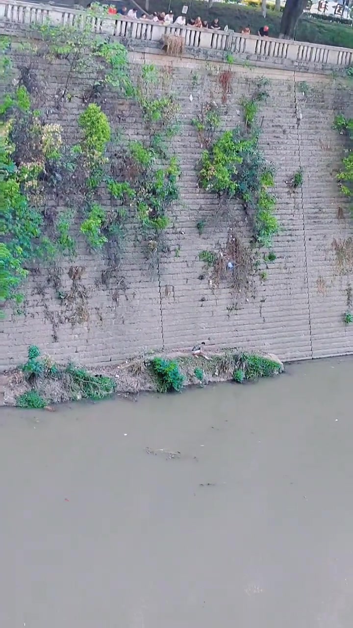 好佩服这些钓鱼人，这么高的地方都必须下去把拉起来